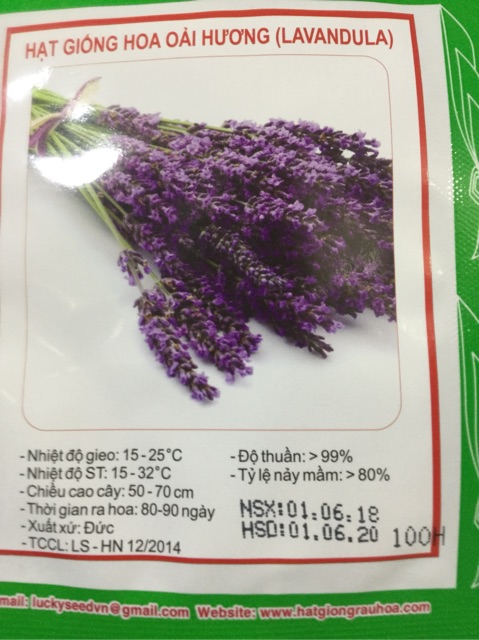 HẠT GIỐNG HOA OẢI HƯƠNG (LAVANDULA)