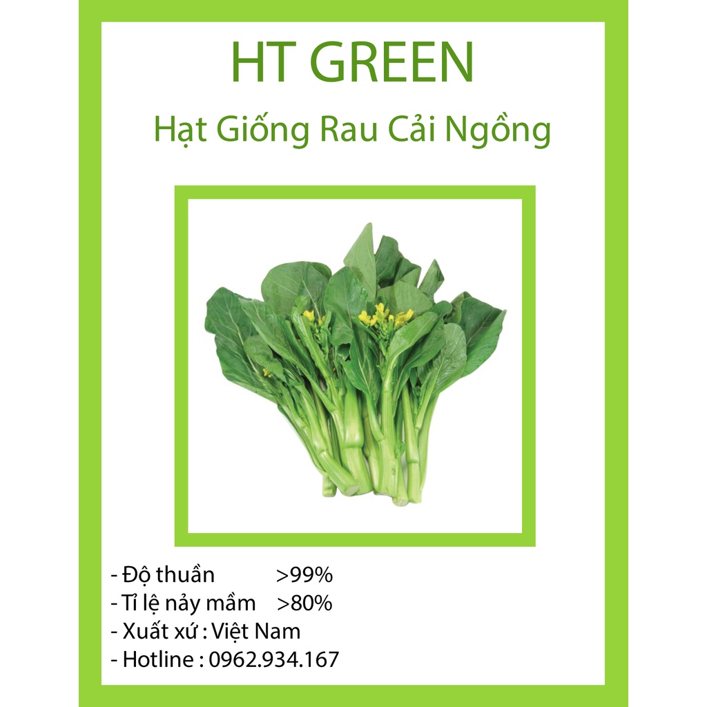 Hạt Giống Rau Cải Ngồng Năng Suất Cao