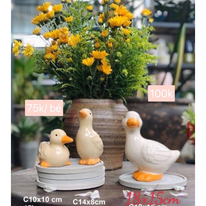 Con giống Vịt sứ