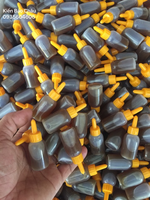 ( không nhãn ) combo 1000 lọ không nhãn thuốc diệt kiến gián sinh học Bảo Châu