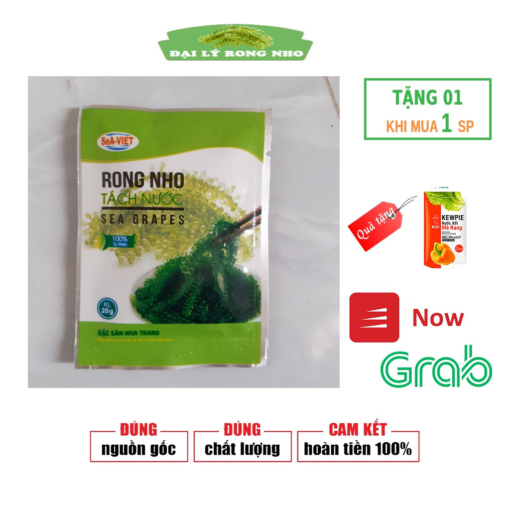 Rong nho tươi Sea Grapes , giá rong nho tươi gói 20g, tac dung cua rong nho, kèm nước sốt mè rang ăn ngon đúng vị