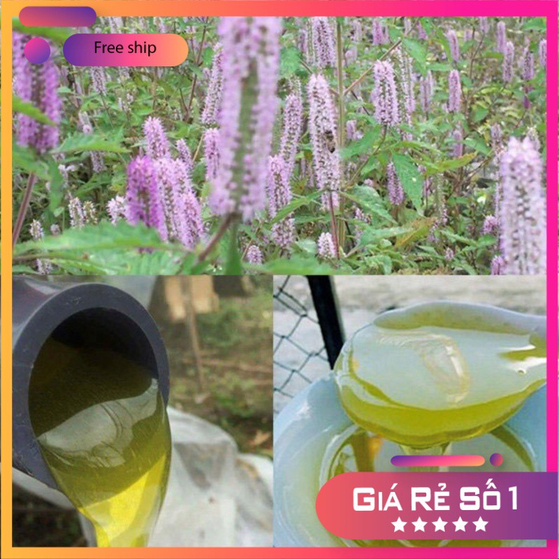 Mật ong bạc hà Mèo Vạc Hà Giang 1L, mật ong chuẩn-Dược Liệu Quý