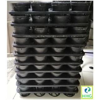 COMBO 10KHAY NHỰA CỨNG 12 LỖ + 120 CHẬU NHỰA FI 10CM TRỒNG RAU ƯƠM MẦM