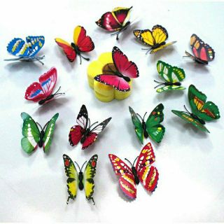 Bướm nam châm 3D cực đẹp, xinh xắn