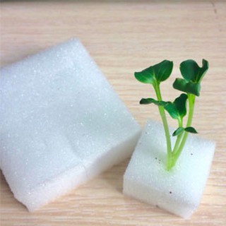 Mút ươm hạt giống vỉ 96 viên kích thước 25x25x25mm !