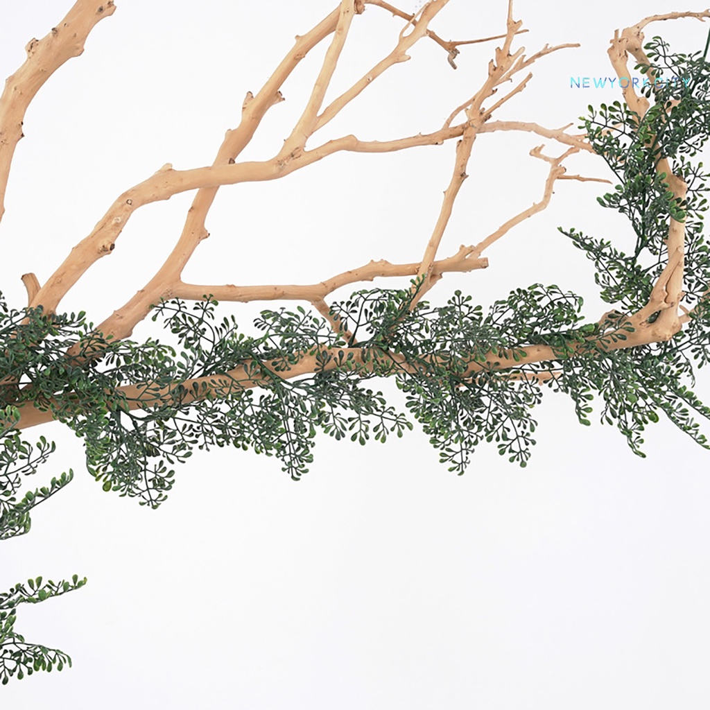 Dây Leo Lá Xanh Nhân Tạo Bằng Nhựa Treo Tường Trang Trí Nhà