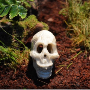 Sọ Người nhỏ trang trí bể cá, phụ kiện thuỷ sinh, bò sát..