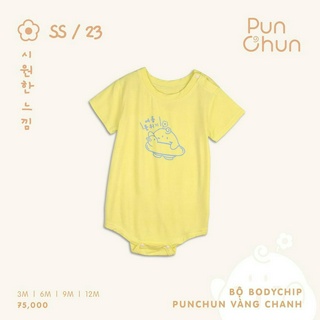 Punchun Bộ body chip SS2023D04