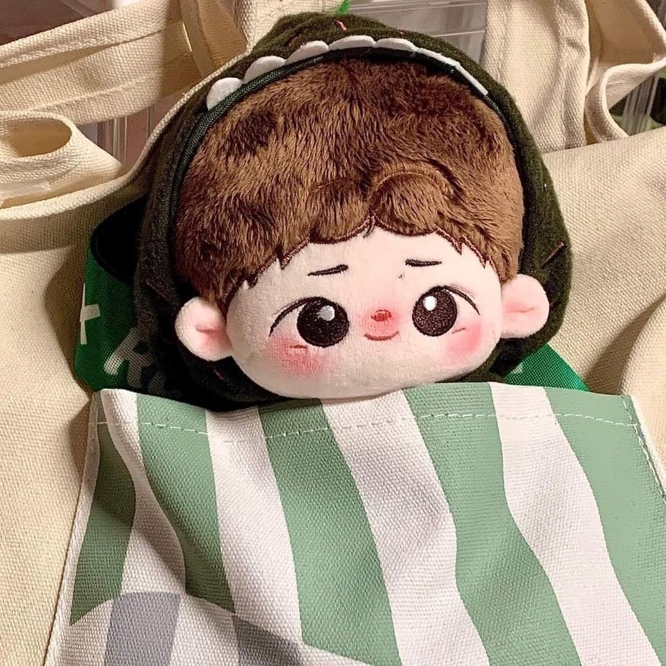 Túi tote vải đựng doll đáng yêu