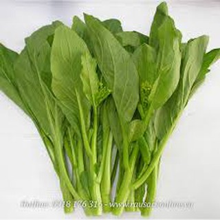Hạt giống Cải Ngọt Ăn Bông