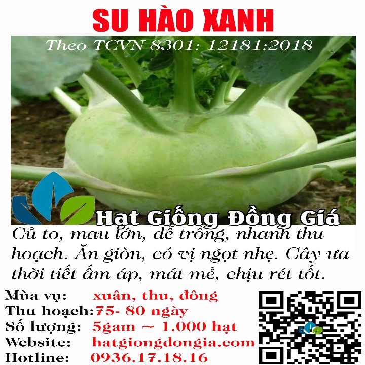 Su Hào Giòn Ngon Dễ Trồng Đặc Biệt Trồng Được Trong Chậu (8301)