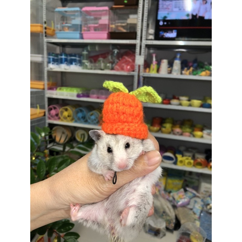 Nón Len Cho Thú Nhỏ Hamster, Sóc, Bọ - Mẫu 2 Lá