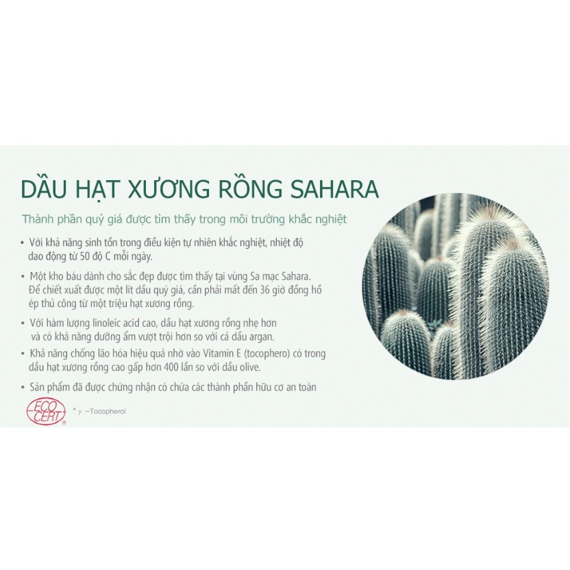 Combo Dưỡng Da Ẩm Mượt, Trắng Sáng Chiết Xuất Xương Rồng Huxley (SR Brightly Ever After 30ml + Kem Fresh And More 50ml)