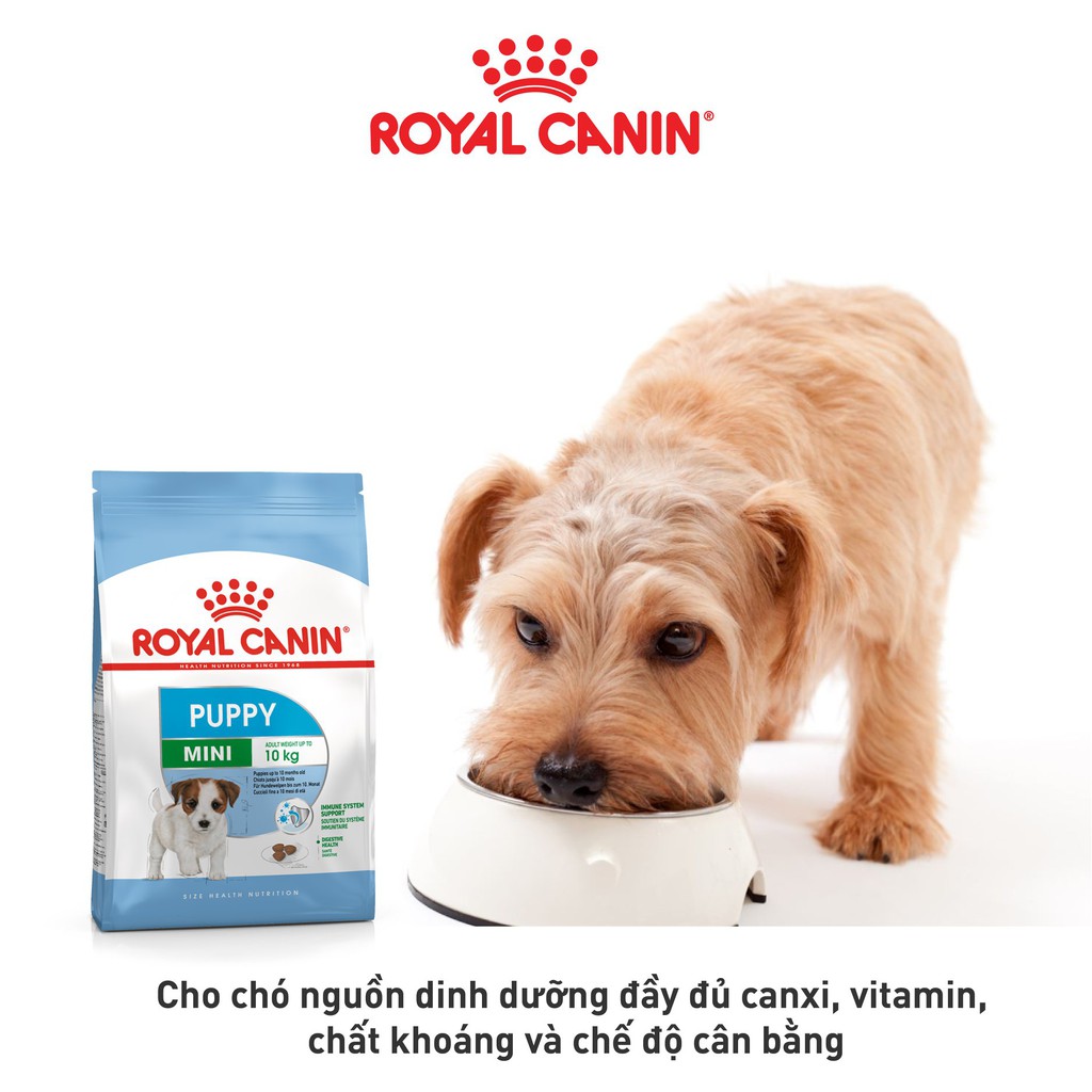 ROYAL CANIN - MINI PUPPY [ CHÍNH HÃNG ] - THỨC ĂN CHO CHÓ CON &lt;10KG