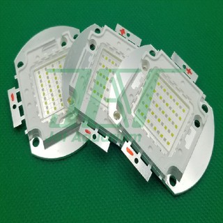 Led COB Epistar Cá Biển 50w [CHÍNH HÃNG, CHUẨN BƯỚC SÓNG] Ánh sáng mạnh, Tiết kiệm điện, Tuổi thọ 50000h