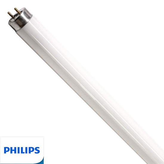 Bóng đèn huỳnh quang T8, T10 Philips, Điện Quang 0.6m, ánh sáng trắng - Điện nước gia dụng Hoàng Kim