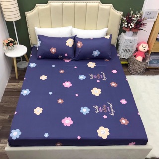 Set Ga-Vỏ gối cotton 100%