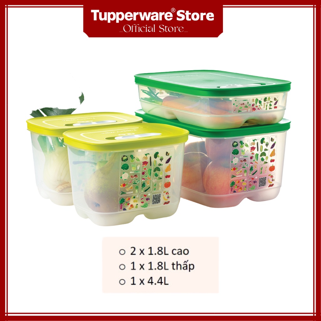 Bộ hộp trữ mát có nút hô hấp Tupperware Ventsmart 4 hộp