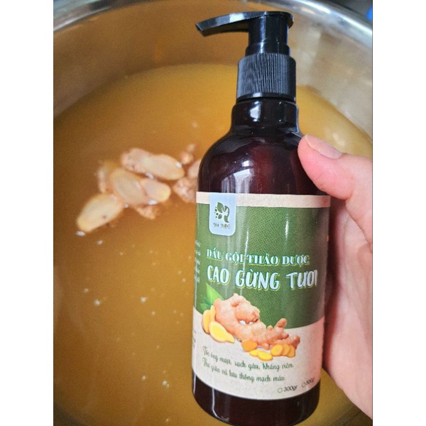 Dầu gội gừng tươi cho tóc dầu, gàu, rụng tóc