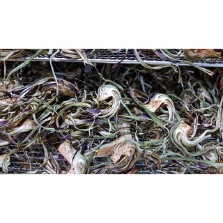 Bông Atiso sấy  khô Loại 1