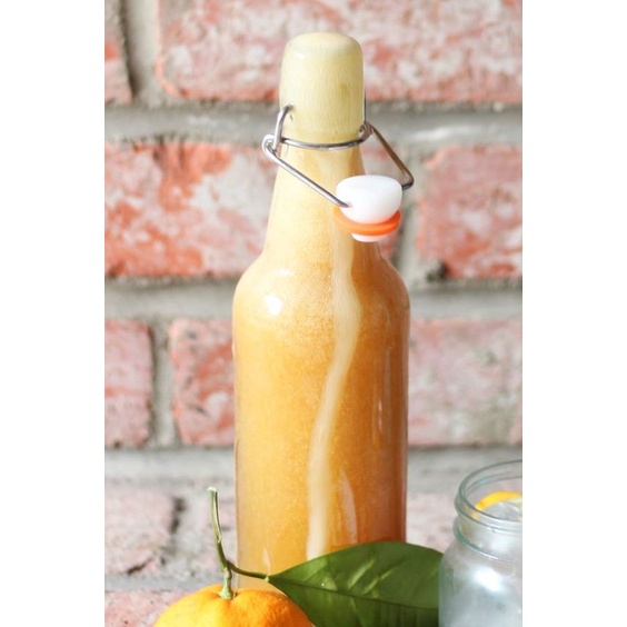 Nấm nước Kefir khỏe, tạo kefir dừa hoặc kefir trái cây