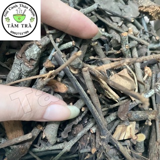 Trà tầm gửi - tang ký sinh -dùng để nấu chè hột gà người hoa - gói canh thảo dược -tâm trà