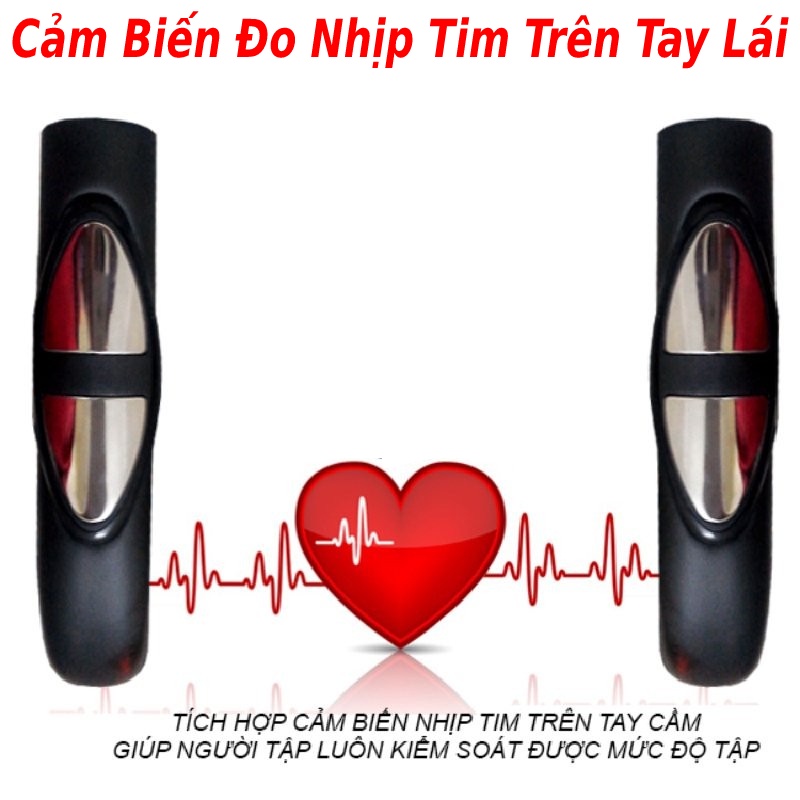 Xe đạp tập thể dục tập gym tại nhà King Sport X9 tặng full combo 4 món quà tặng, bảo hành 3 năm