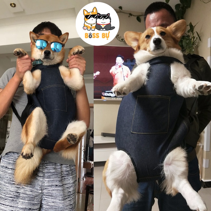 Balo ,địu đeo thú cưng đi dạo , bát phố , rất thích hợp cho việc đi du lịch , đi phượt bằng xe moto , bao ngầu