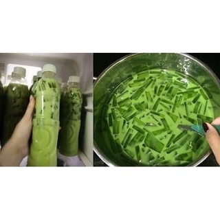 Set Trà sữa thái xanh cực ngon