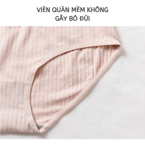 Original Quần Lót Classic BrieSF Nữ Đáy Viscose Bikini Thông Hơi Thắt Lưng Cao Cấp ZK GR8951 II Nội Địa Trung Nam