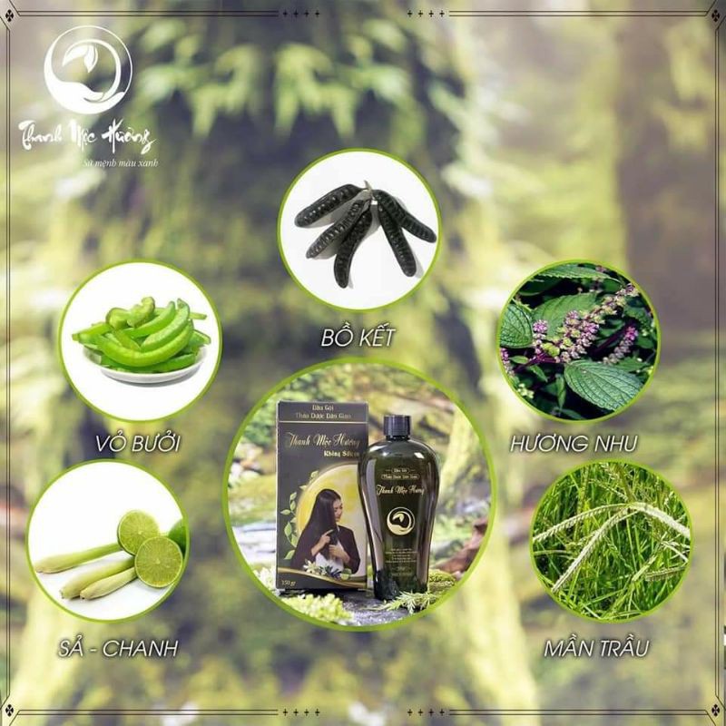 [1 GÓI] DẦU GỘI THANH MỘC HƯƠNG [CHÍNH HÃNG][GIÁ RẺ] | BigBuy360 - bigbuy360.vn