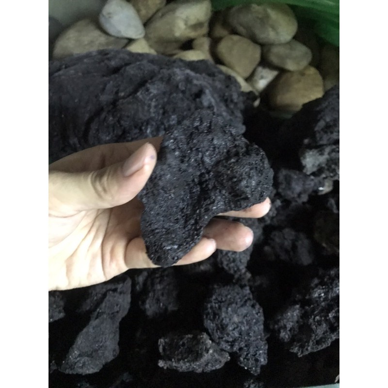 Đá Đen Gia Lai hàng tuyển setup bể thuỷ sinh