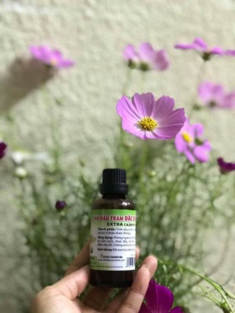 Tinh dầu tràm đặc biệt Viên Minh 15ml