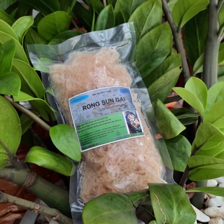 Deal sốc {1kg} Rong Sụn Tươi làm gỏi - Rong Sụn Gai nấu chè