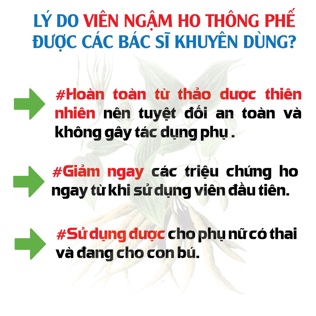 Viên ngậm ho bổ phế làm ấm đường hô hấp Thông Phế Hadiphar (8 viên)