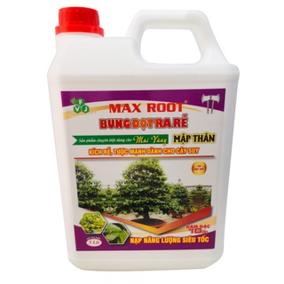 Bung đọt ra rể chuyên mai vàng - can 5l