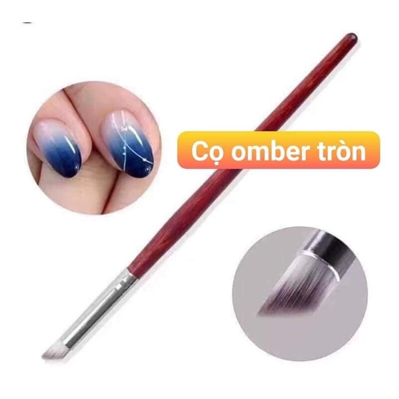 Cọ omber tròn , omber dẹt , cọ đầu fen