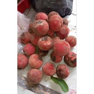 combo 30 cây hồng nhung 4 lá khách đặt