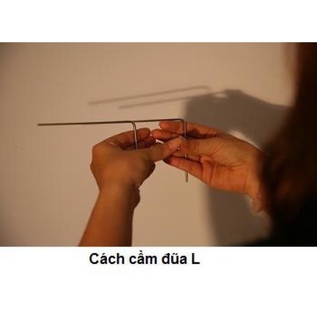 [CẢM XẠ HỌC] ĐŨA L