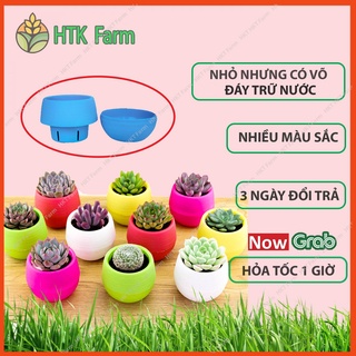 Chậu Trồng Cây Mini Có Đáy Trữ Nước - Đa dạng màu sắc - Trang trí nhà cửa, văn phòng tuyệt đẹp