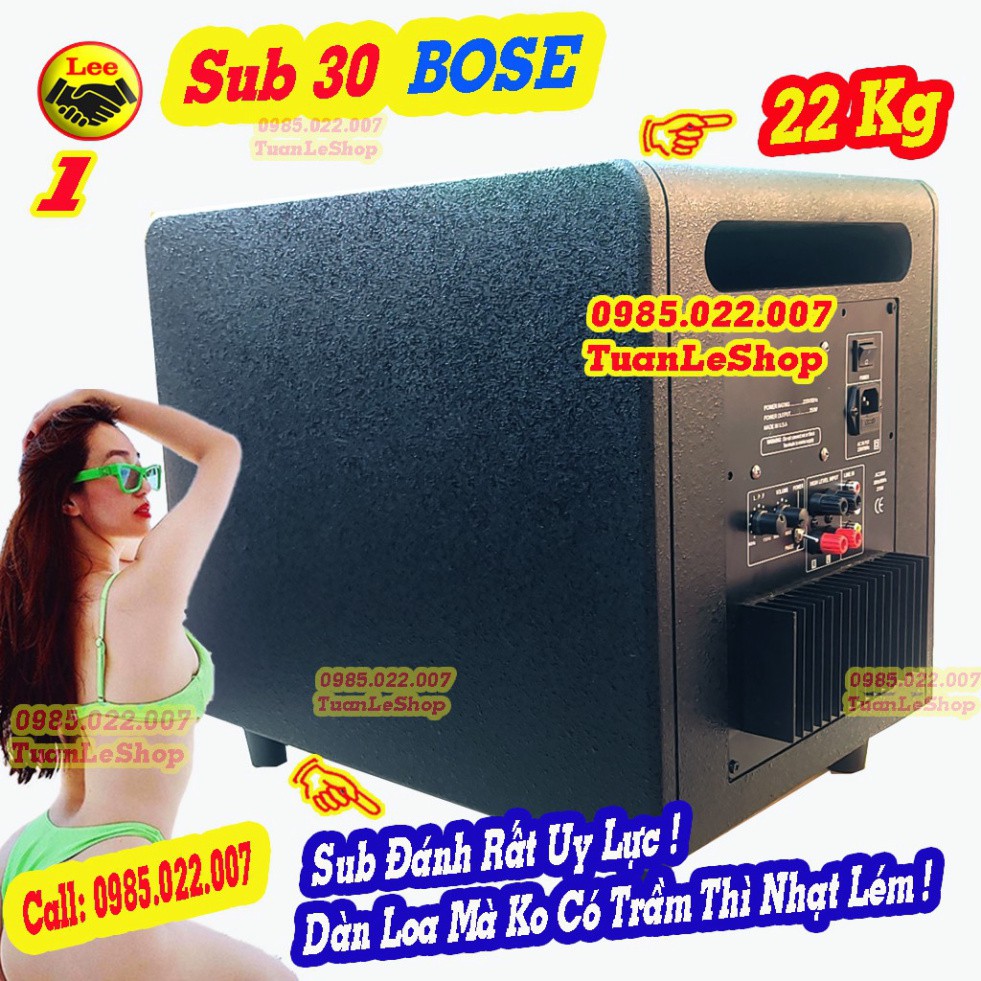 SUB ĐIỆN 30 - SUB 30 NGUYÊN THÙNG 2 SO SA KEN NGUÔN ĐỒNG  - Thùng Sup 30 B o s e