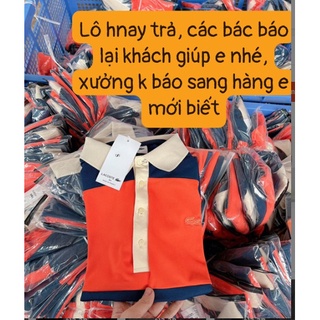 ÁO POLO CAM NỮ SIÊU HOT