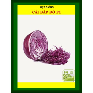 1gram Gói Hạt Giống Cải Bắp Đỏ Năng Suất Cao