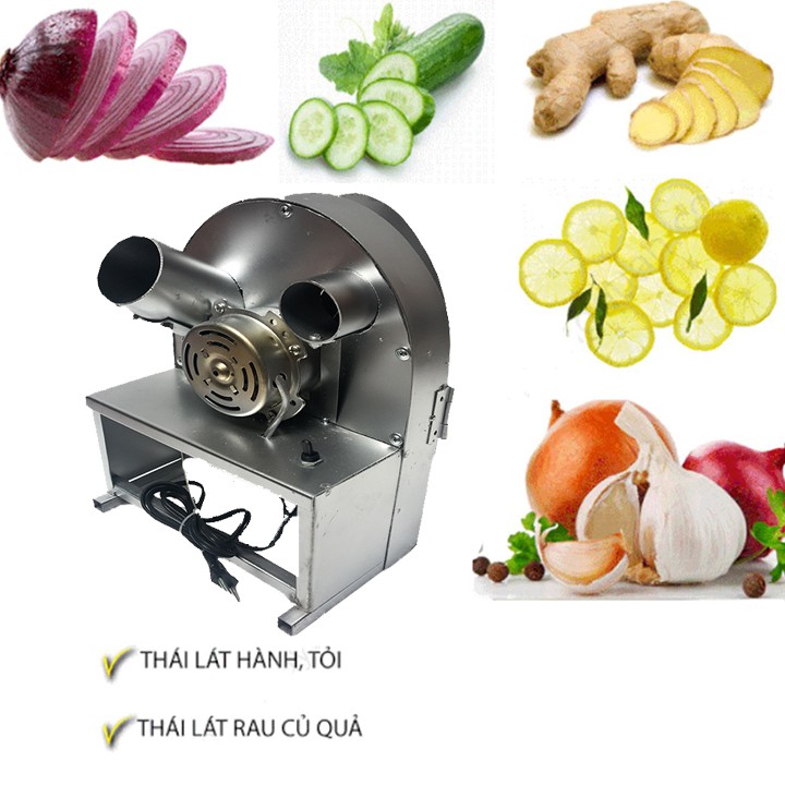 Máy thái hành chạy điện