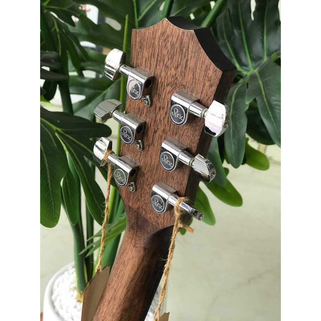 Guitar Acoustic Rex RD12C-FG - Gỗ Vân Sam Nguyên Tấm, Nhập Khẩu Singapore - Sol.G Nhạc cụ nhập khẩu chính hãng