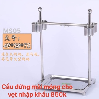 Cầu đứng nhập khẩu cho vẹt