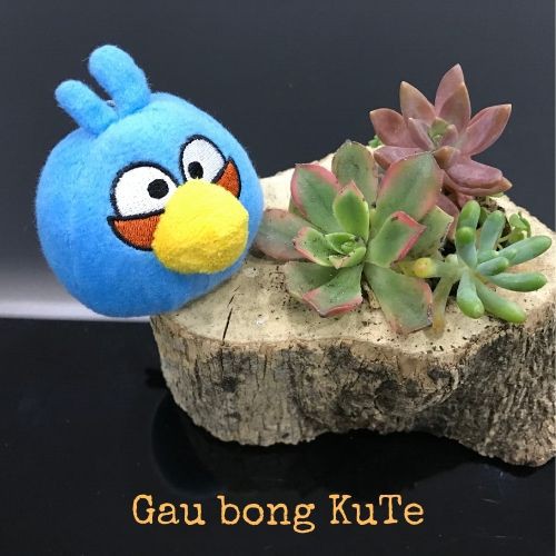 Gấu bông - Angry bird móc khóa