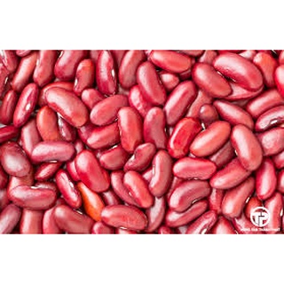 Đậu Đỏ hạt to 1Kg
