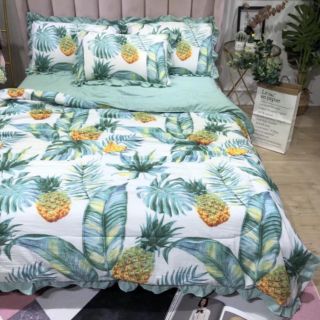Bộ drap cotton đũi full mền