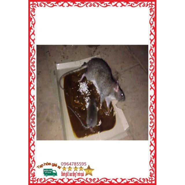 ❤️ FREESHIP ❤️[Combo 12 tấm] Keo Dính Chuột thông minh siêu dính - keo bẫy chuột tái sử dụng lại nhiều lần